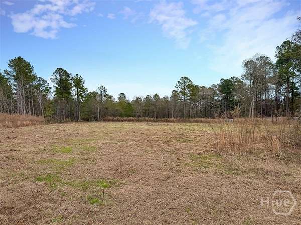 19.3 Acres of Commercial Land for Sale in Sylvania, Georgia