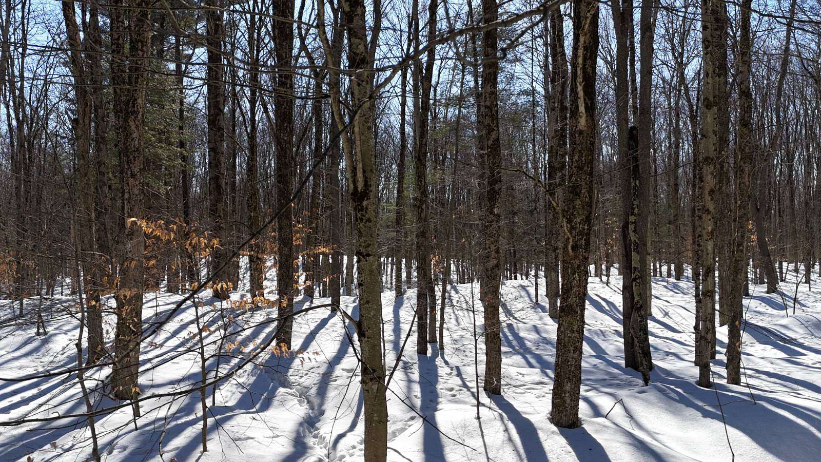 5 Acres of Residential Land for Sale in Florence, New York