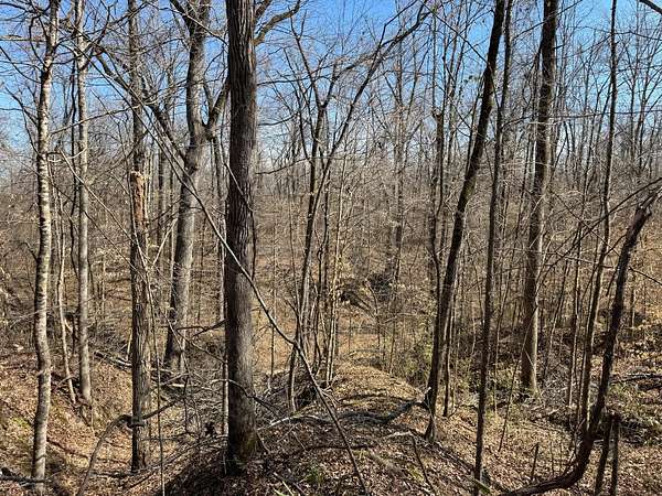 180 Acres of Recreational Land for Sale in Lexington, Mississippi