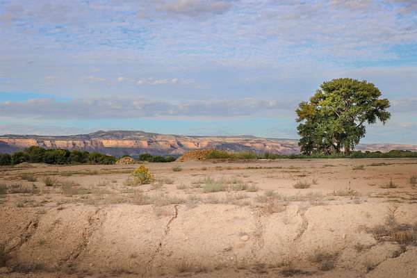 0.35 Acres of Residential Land for Sale in Grand Junction, Colorado