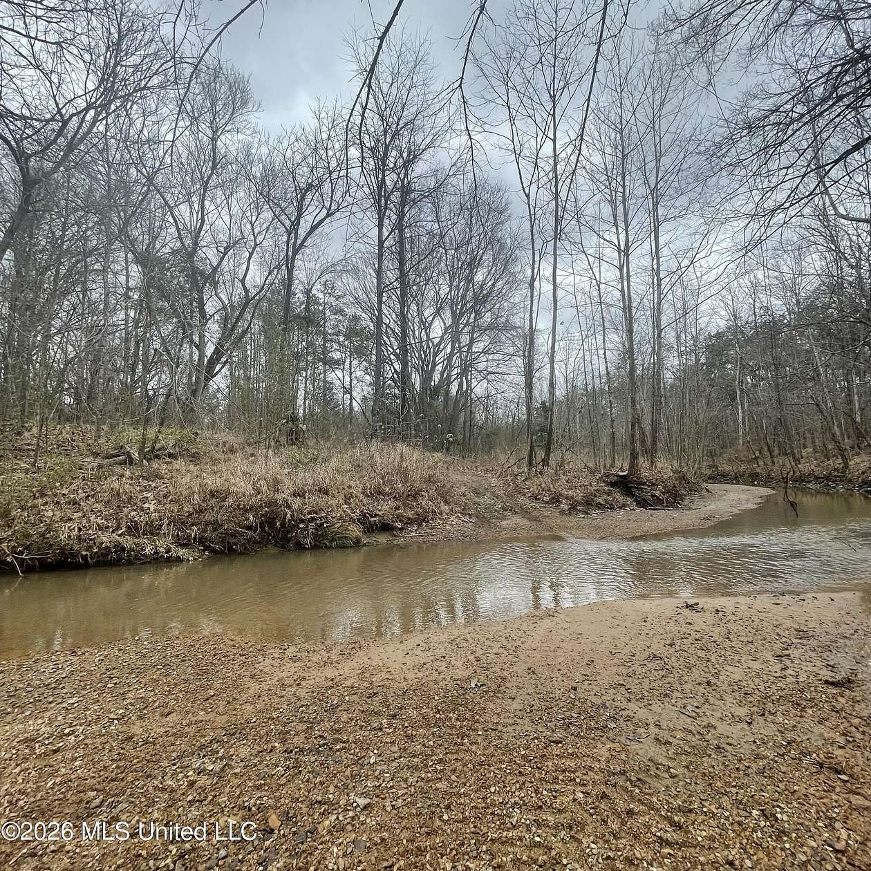 200 Acres of Recreational Land for Sale in Lexington, Mississippi