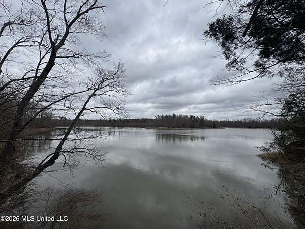 200 Acres of Recreational Land for Sale in Lexington, Mississippi