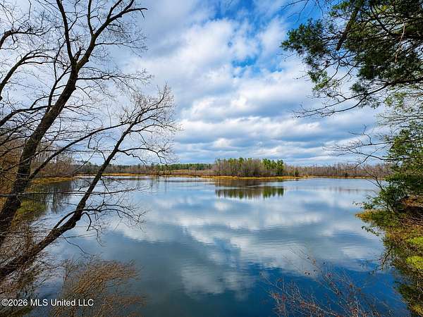 200 Acres of Recreational Land for Sale in Lexington, Mississippi
