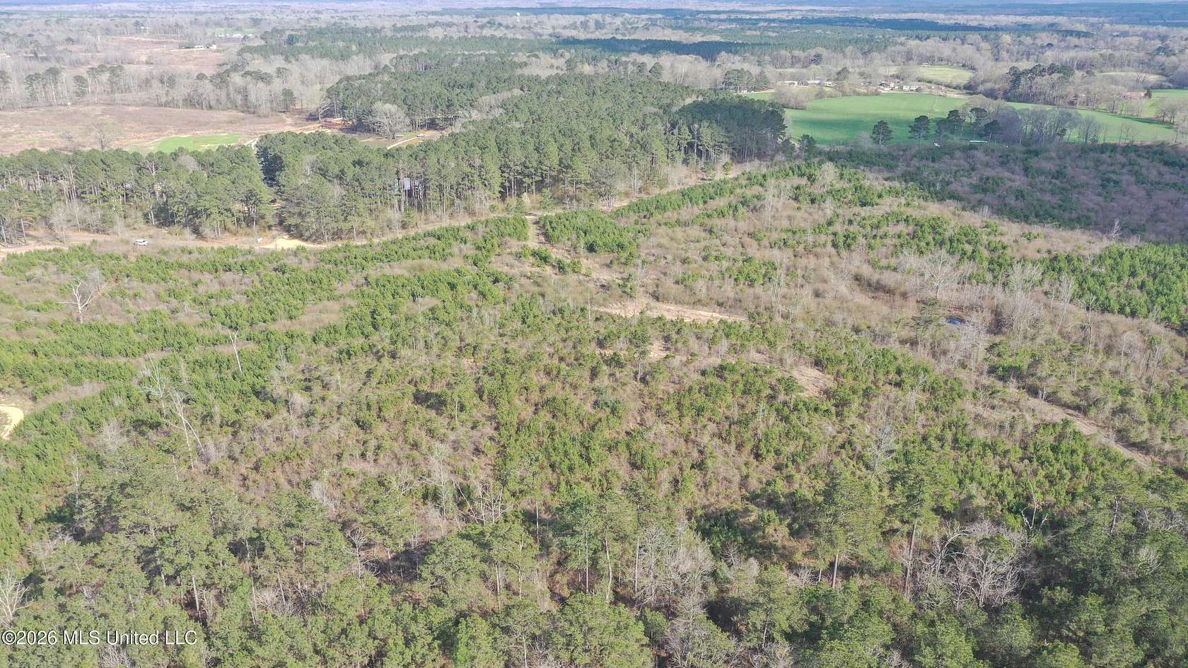 60 Acres of Land for Sale in Brandon, Mississippi