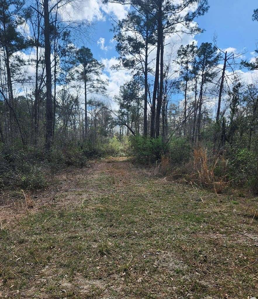 39 Acres of Recreational & Residential Land for Sale in Naylor, Georgia