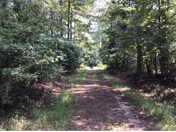 20 Acres of Recreational Land for Sale in Fordyce, Arkansas