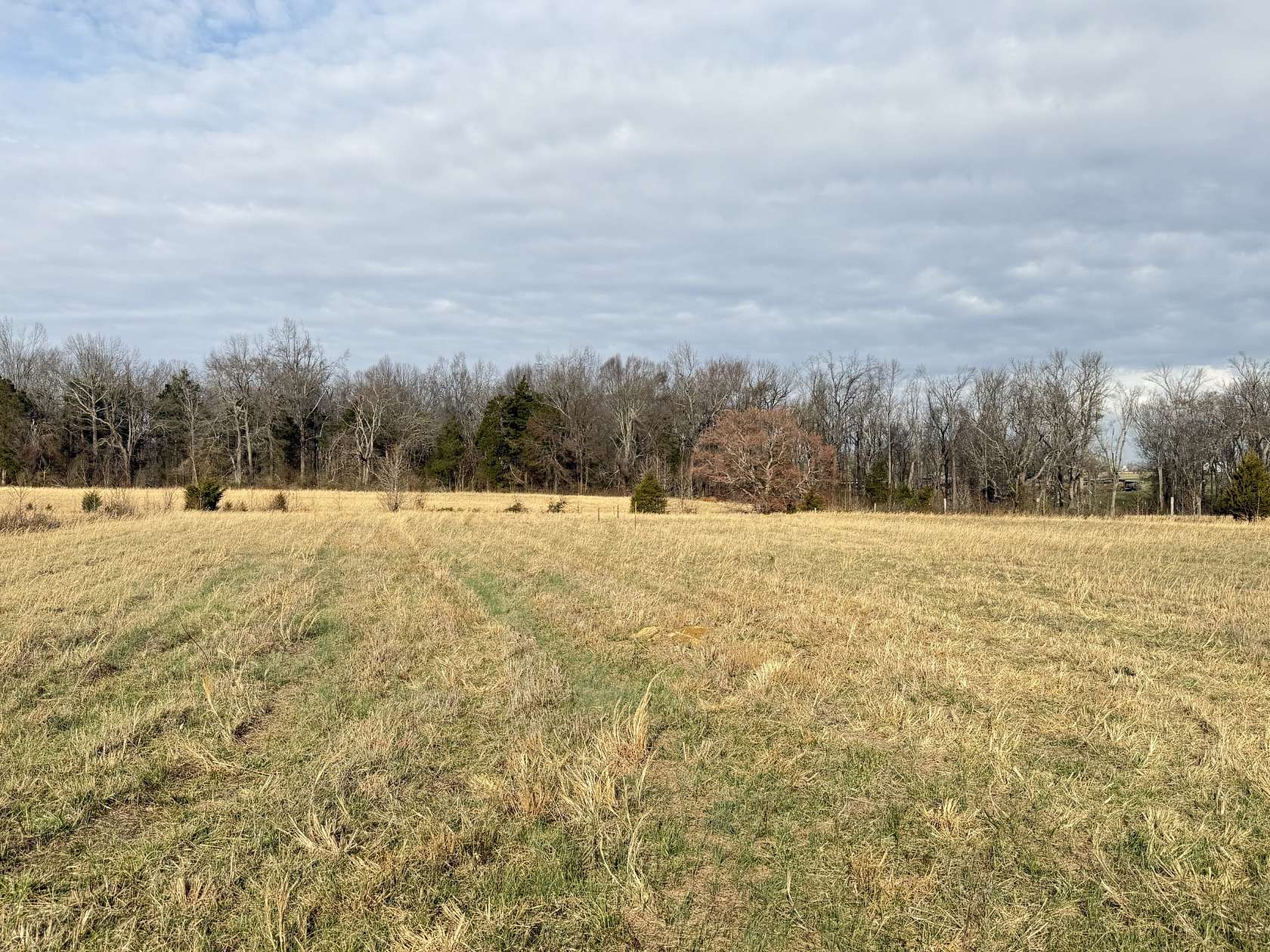 5.19 Acres of Residential Land for Sale in Bethpage, Tennessee