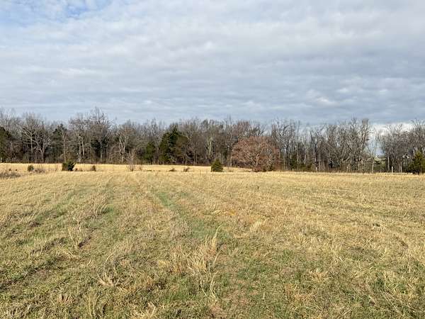 5.19 Acres of Residential Land for Sale in Bethpage, Tennessee