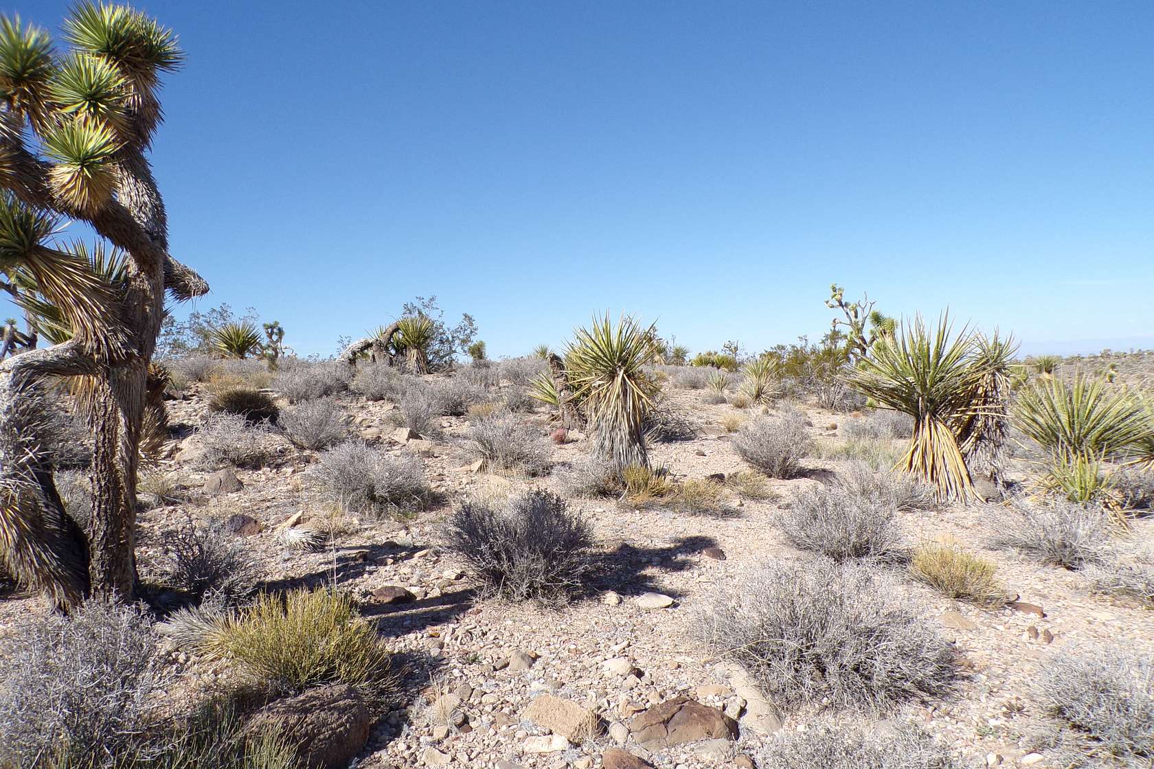 1.26 Acres of Residential Land for Sale in Meadview, Arizona