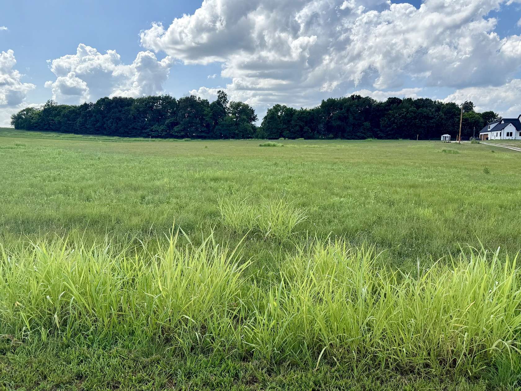 5 Acres of Residential Land for Sale in Portland, Tennessee