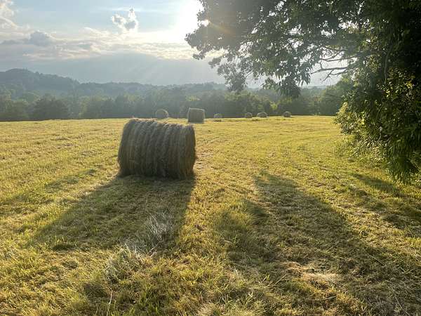 20.6 Acres of Land for Sale in Pulaski, Tennessee