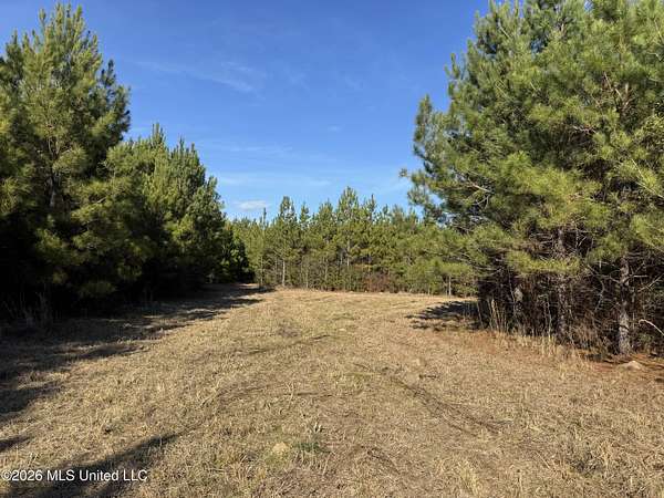 89 Acres of Recreational Land for Sale in Tylertown, Mississippi