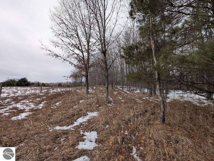 10 Acres of Recreational & Residential Land for Sale in Mikado, Michigan