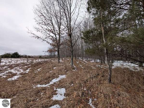 10 Acres of Recreational & Residential Land for Sale in Mikado, Michigan