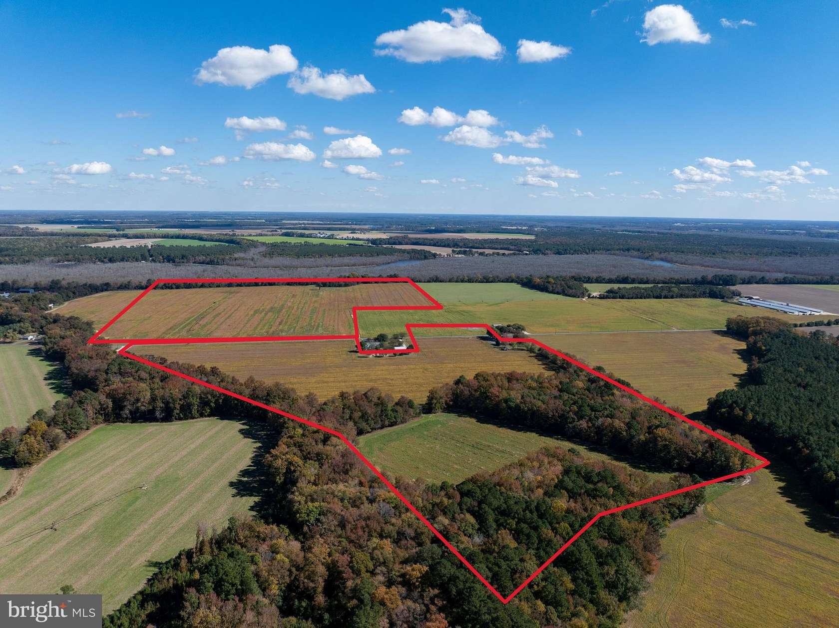 106 Acres of Land for Sale in Rhodesdale, Maryland