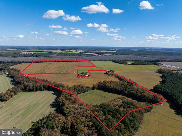 106 Acres of Land for Sale in Rhodesdale, Maryland