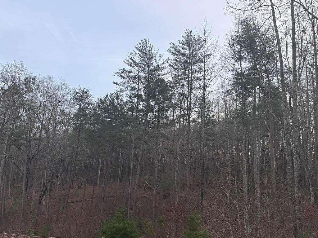 5 Acres of Residential Land for Sale in Dawsonville, Georgia