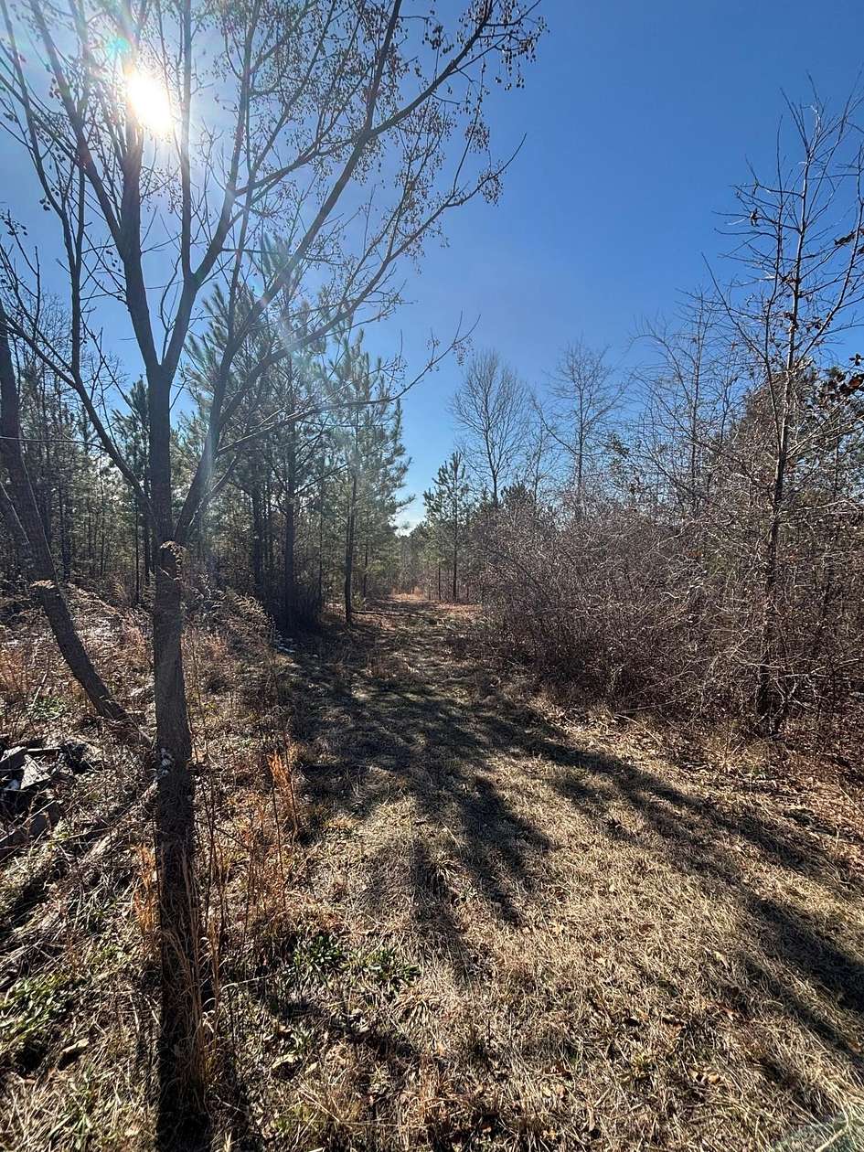 45.8 Acres of Recreational Land for Sale in Mitchell, Georgia