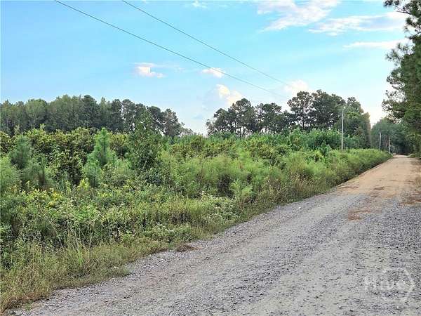 10 Acres of Residential Land for Sale in Statesboro, Georgia