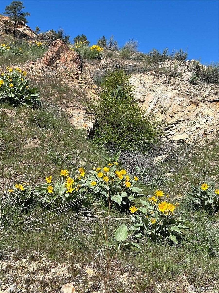 40 Acres of Recreational & Residential Land for Sale in Malott, Washington