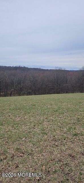 15 Acres of Land for Sale in Wantage, New Jersey