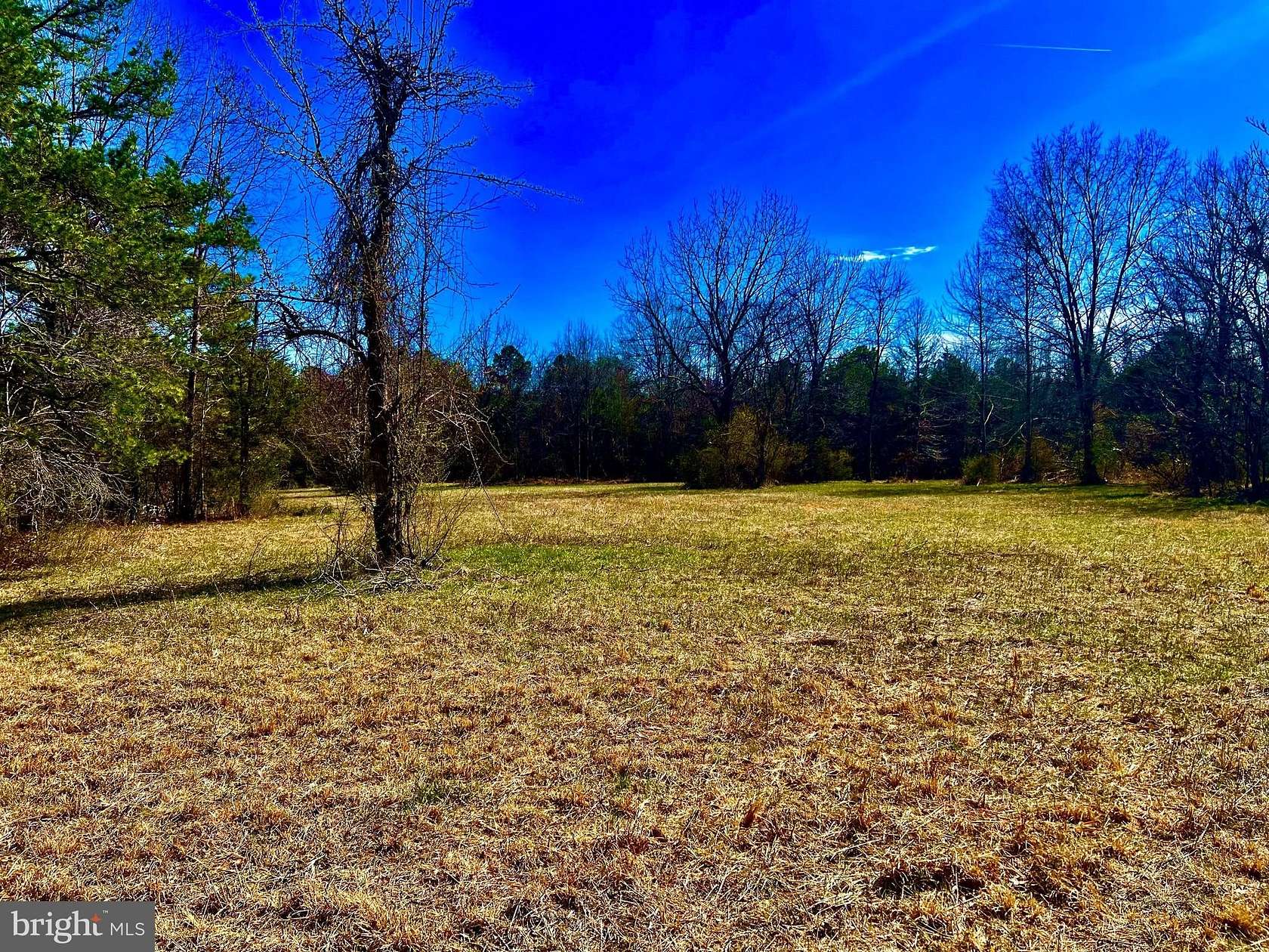 17.1 Acres of Recreational & Residential Land for Sale in Culpeper, Virginia