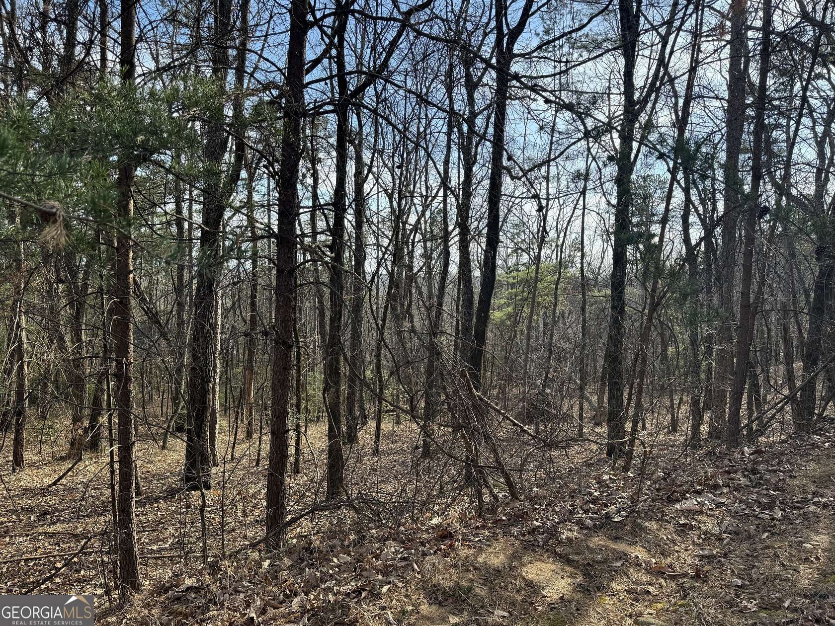 1.43 Acres of Residential Land for Sale in Clarkesville, Georgia