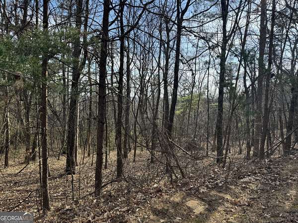1.43 Acres of Residential Land for Sale in Clarkesville, Georgia