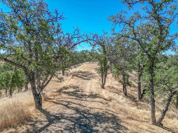 14 Acres of Recreational & Residential Land for Sale in Red Bluff, California