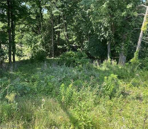 0.58 Acres of Residential Land for Sale in Canton, Ohio