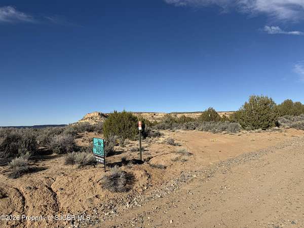 40 Acres of Land for Sale in Blanco, New Mexico