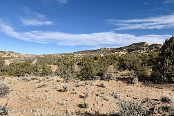 40 Acres of Land for Sale in Blanco, New Mexico