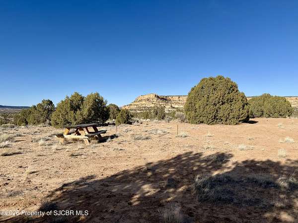 40 Acres of Recreational & Residential Land for Sale in Blanco, New Mexico