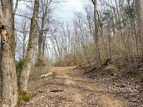 15 Acres of Recreational & Residential Land for Auction in Smithville, Tennessee