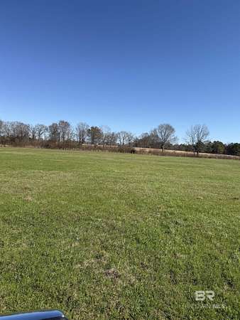 14 Acres of Land for Sale in Greenville, Alabama