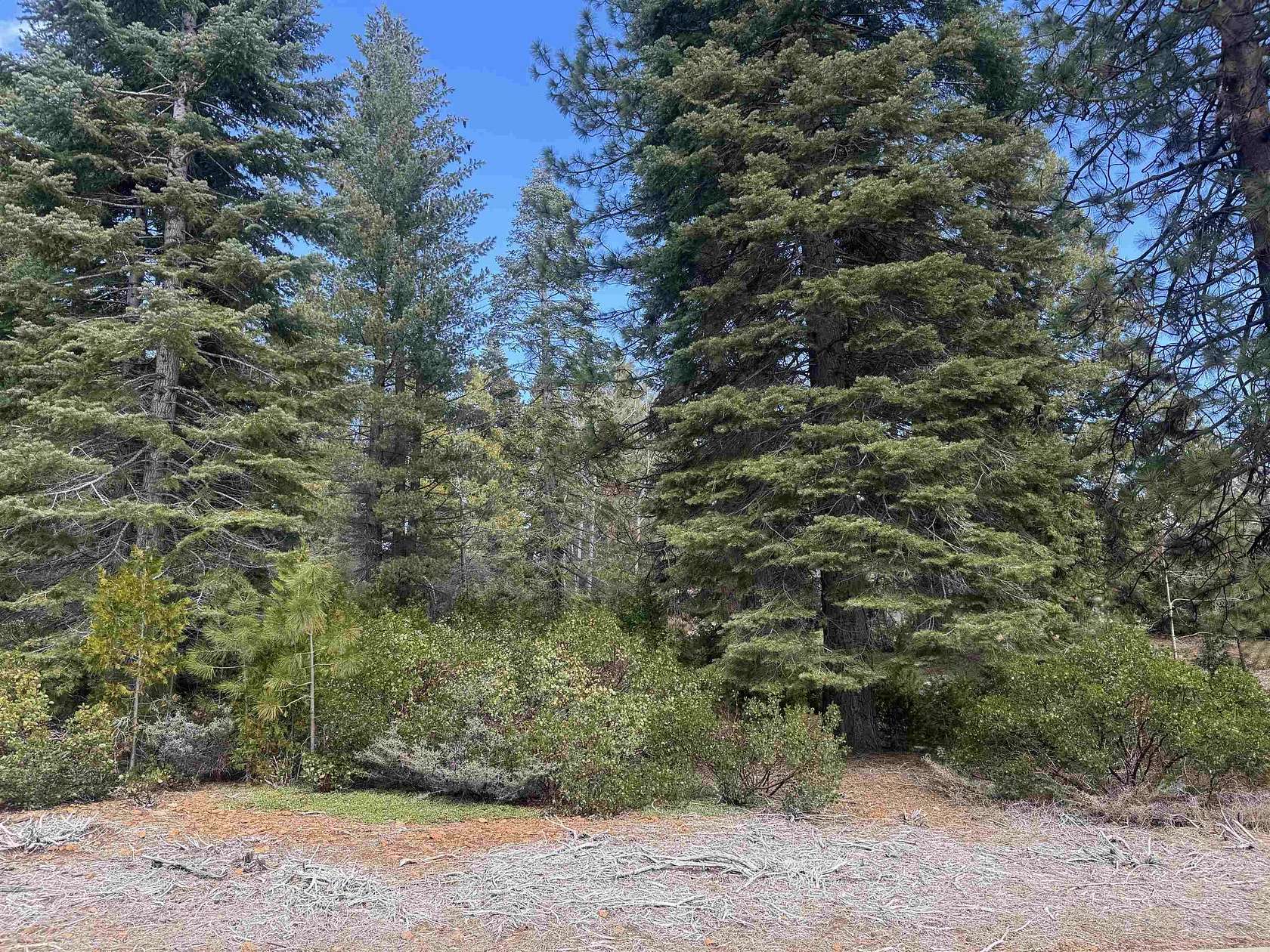 0.31 Acres of Land for Sale in Lake Almanor Peninsula, California
