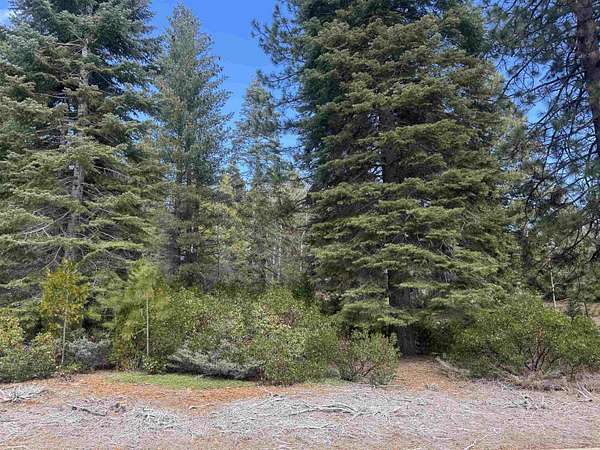 0.31 Acres of Land for Sale in Lake Almanor Peninsula, California
