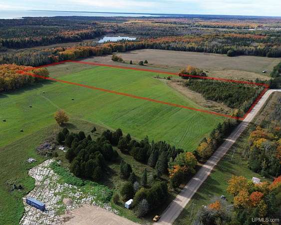 19.6 Acres of Land for Sale in Gulliver, Michigan