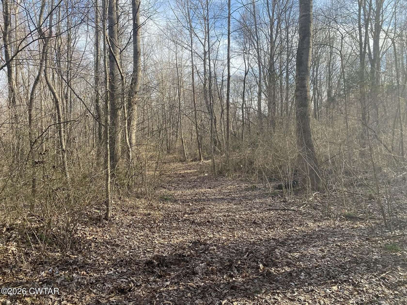 7 Acres of Land for Sale in Wildersville, Tennessee