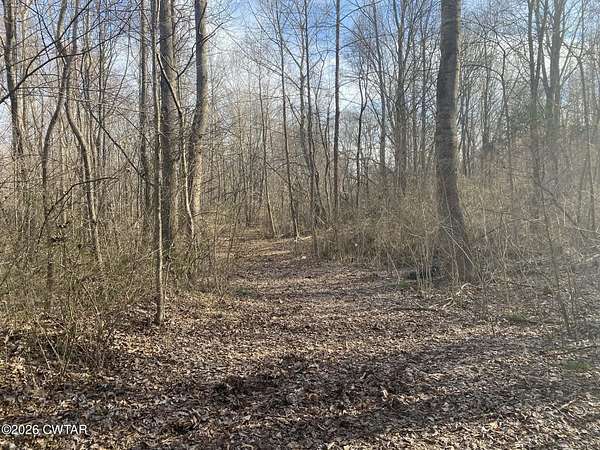 7 Acres of Land for Sale in Wildersville, Tennessee