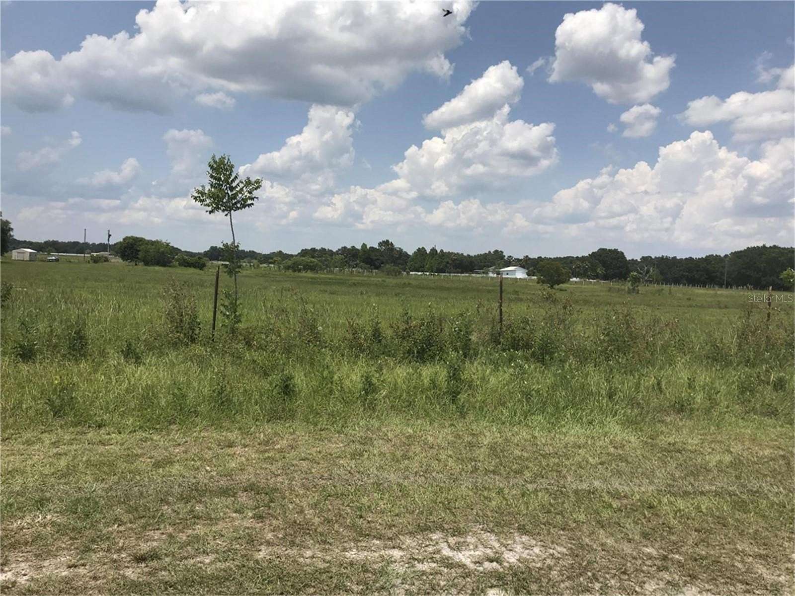 10 Acres of Residential Land for Sale in Bushnell, Florida