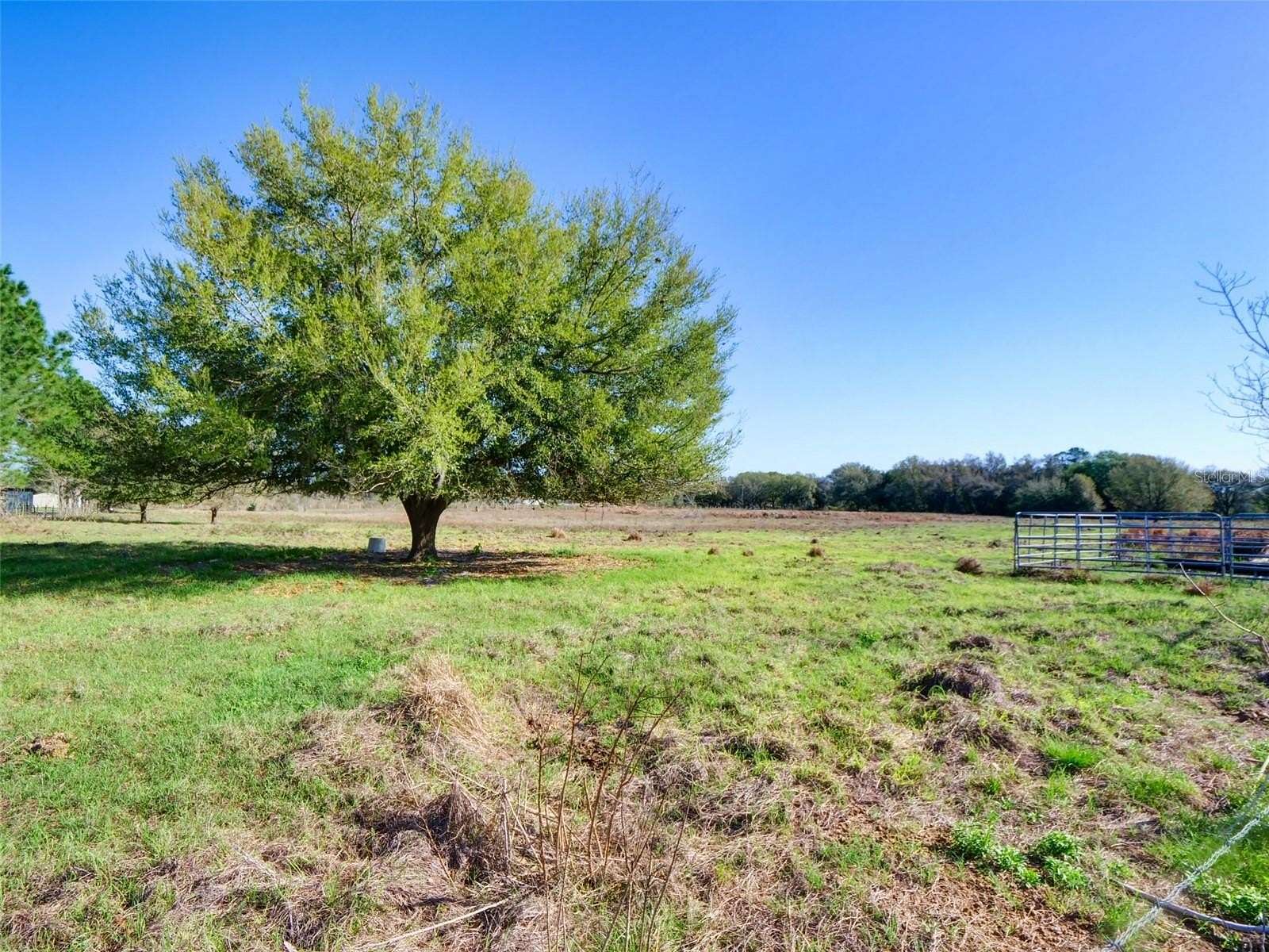 10 Acres of Residential Land for Sale in Bushnell, Florida