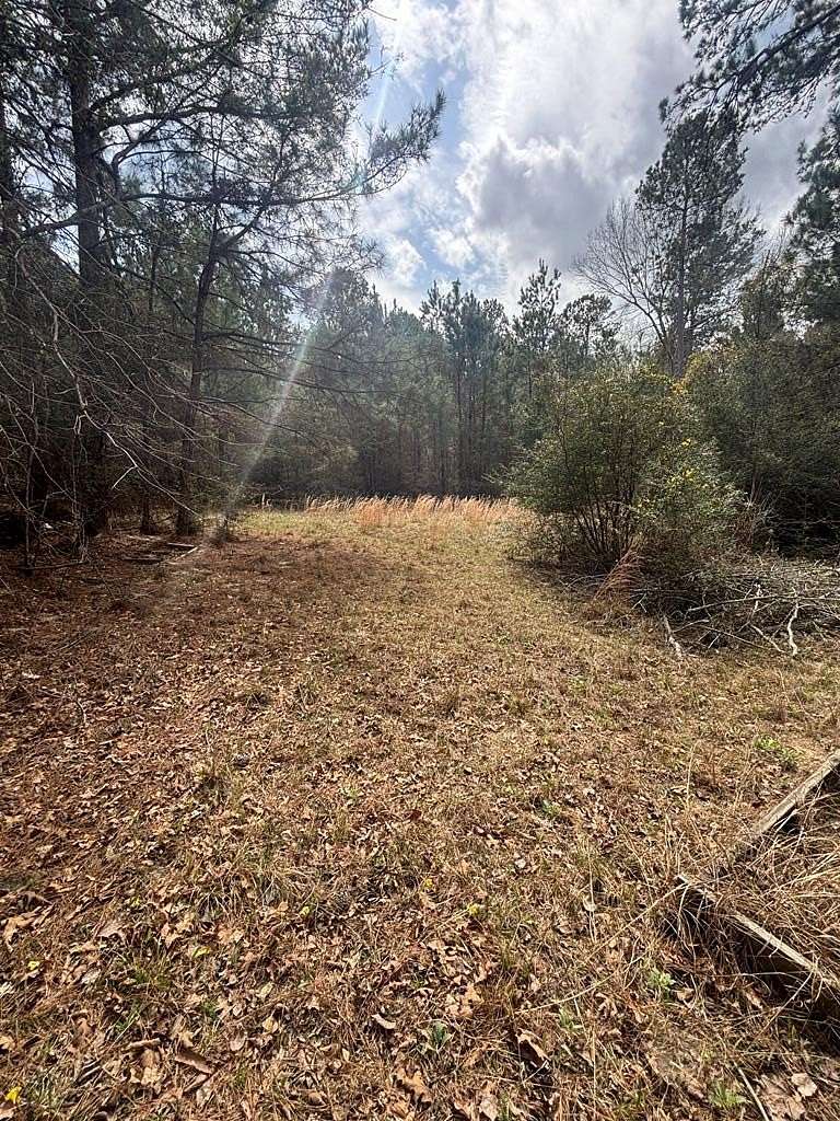 10 Acres of Residential Land for Sale in Nacogdoches, Texas