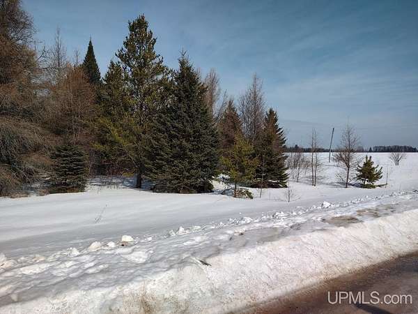 80 Acres of Recreational Land for Sale in Manistique, Michigan