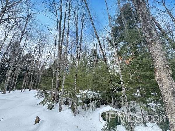 3 Acres of Residential Land for Sale in Watersmeet, Michigan