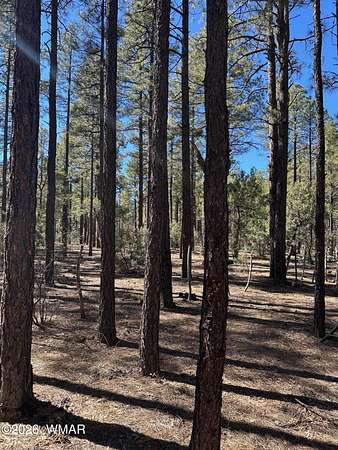 0.42 Acres of Residential Land for Sale in Lakeside, Arizona