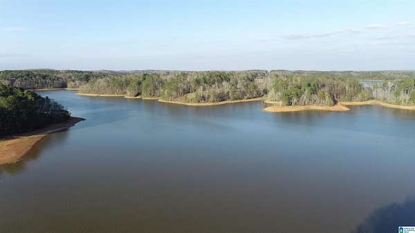 0.71 Acres of Residential Land for Sale in Lineville, Alabama