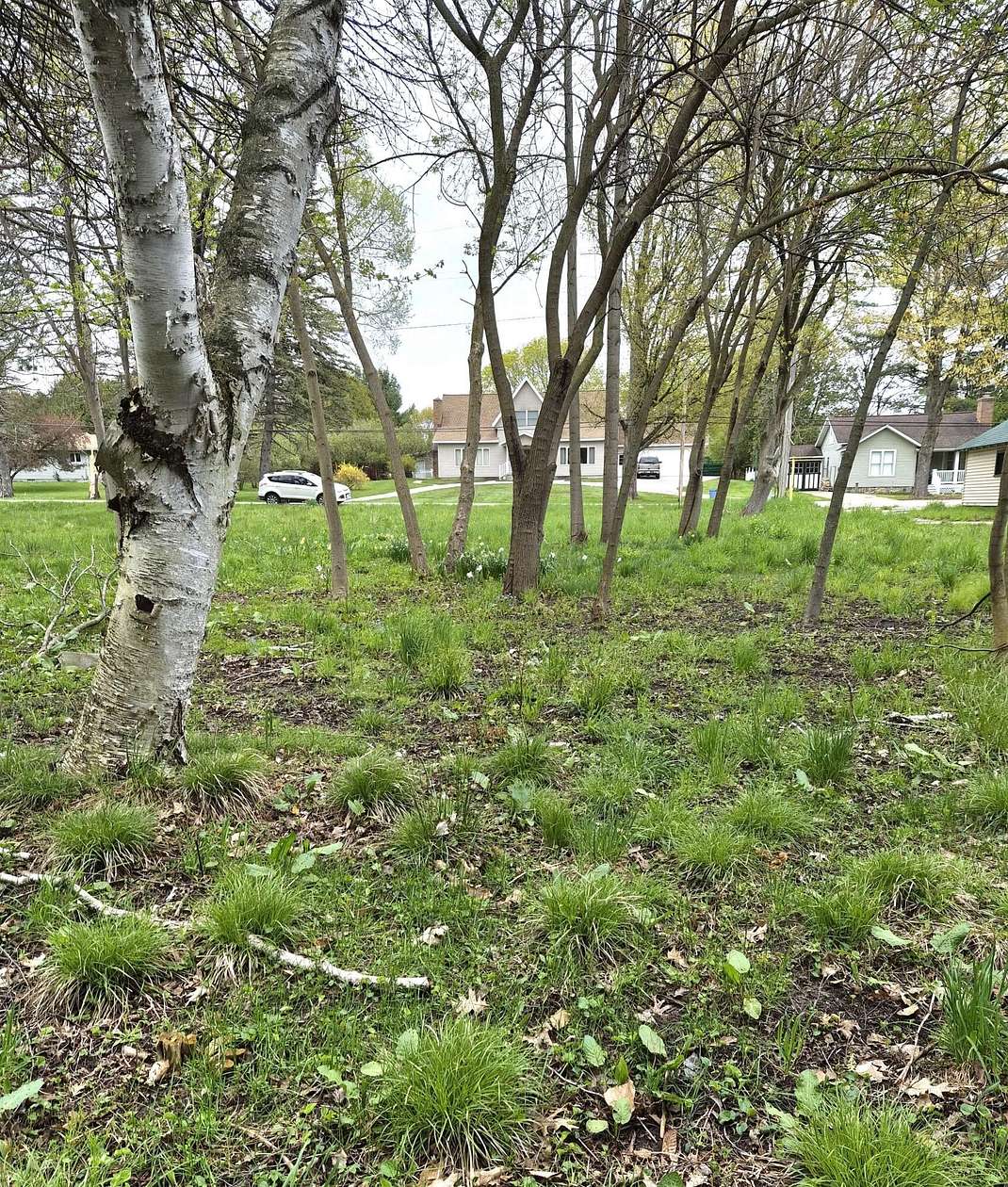 0.27 Acres of Residential Land for Sale in Onekama, Michigan