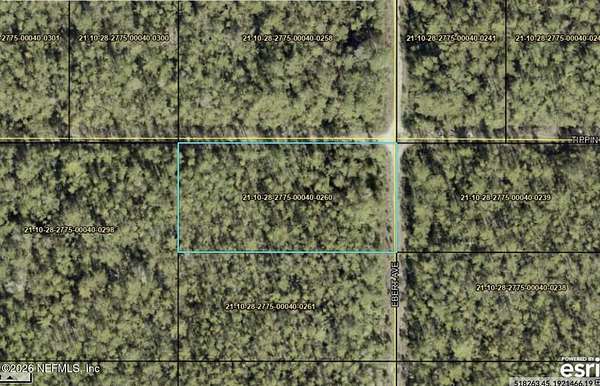 0.93 Acres of Residential Land for Sale in Hastings, Florida