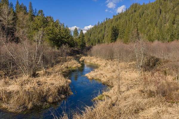 60.8 Acres of Recreational & Residential Land for Sale in Newport, Washington